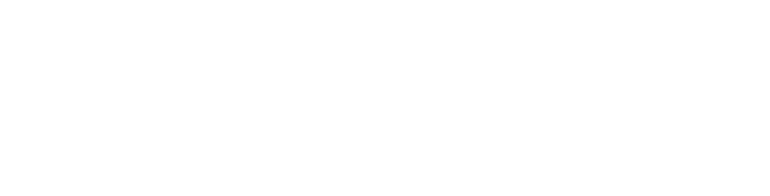 Momo & Co logo