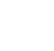 Naya Lab logo